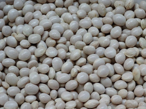 Lazywife Bean (1810)