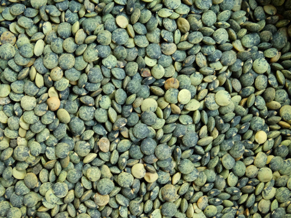 Heirloom Lentil Seeds (Lens esculenta puyensis)