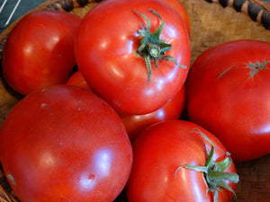 Legend Tomato