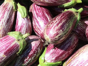 Listada de Gandia Eggplant
