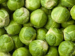 Long Island Improved Brussel Sprouts (1890’s)