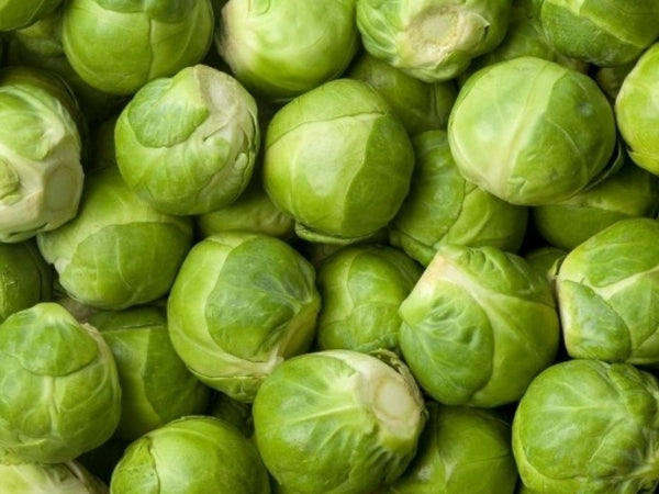 Heirloom Brussel Sprout Seeds