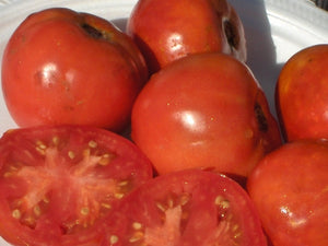 Lutescent Tomato (1897)