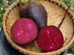 Lutz Green Leaf Beet