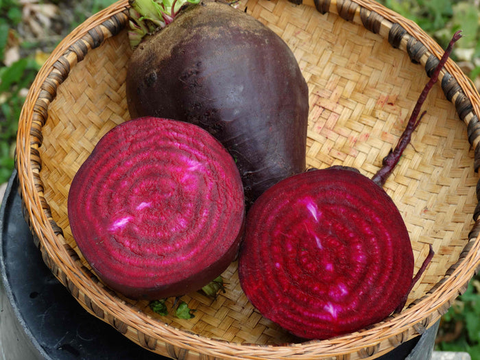 Lutz Green Leaf Beet