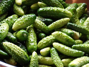 Lyaluk Cucumber