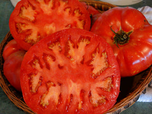 Magnum Beefsteak Tomato