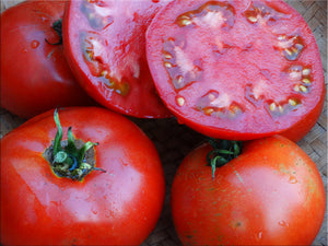 Maria Nagy Giant Tomato