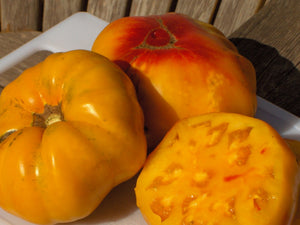 Marizol Gold Tomato