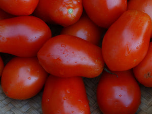 Martino's Roma Tomato