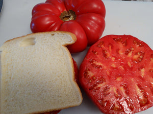 Meme Beauce Tomato