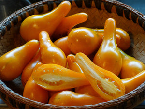 Mila Orange Tomato