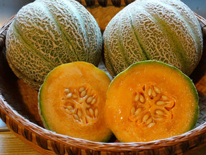 Minnesota Midget Melon (1948)