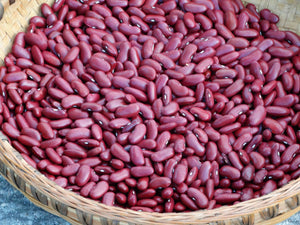Montcalm Kidney Bean