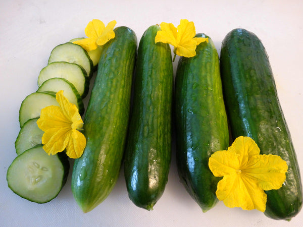 Heirloom Cucumber Seeds - (Cucumis sativus)