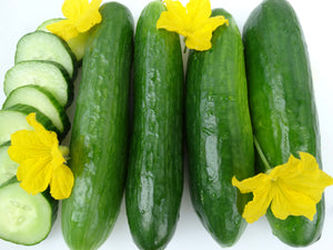 Heirloom Cucumber Seeds - (Cucumis sativus)