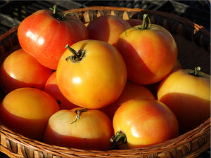 Heirloom Tomato Seeds - Storage