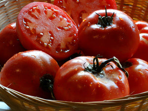 Nepal Tomato