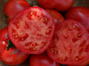 Old Brooks Tomato