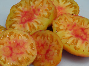 Old German Tomato