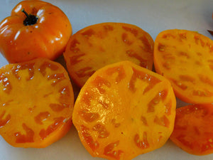 Orange King Tomato (1943)