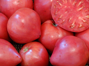 Oxheart Tomato (1926)