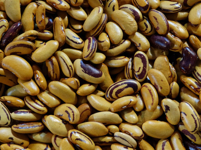 Pepa de Zapallo Bean