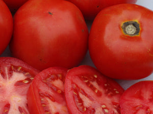 Picardy Tomato (1890’s)
