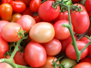 Pink Thai Egg Tomato