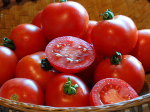 Polish Dwarf Tomato