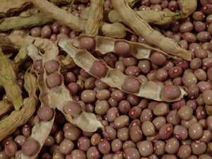 Polish Pole Bean