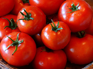 Pollock Tomato