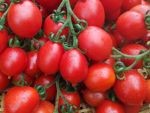 Princepe Borghese Tomato