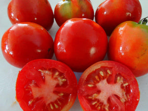 Puck Tomato (1940’s)