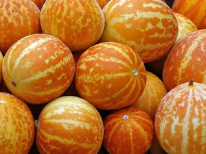 Queen Anne's Pocket Melon (1737)