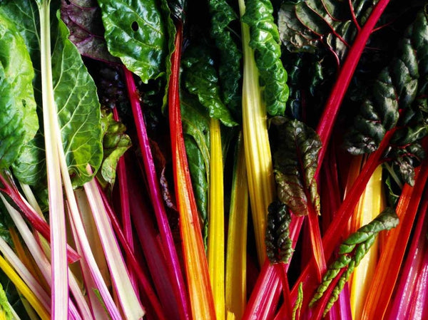 Heirloom Swiss Chard Seeds - (Beta vulgaris: Cicla Group)