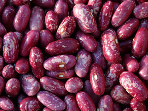 Red Valentine Bean (pre-1817)