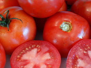 Redhead Tomato (pre-1922)