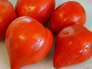 Reif Red Heart Tomato