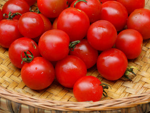 Rideau Sweet Cherry Tomato