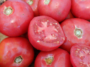 Rose de Berne Tomato