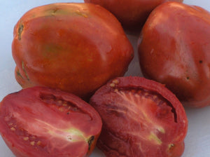Russian Big Roma Tomato