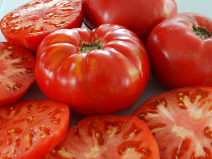 Sandul Moldovan Tomato
