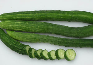 Sanjaku Kiuri Cucumber