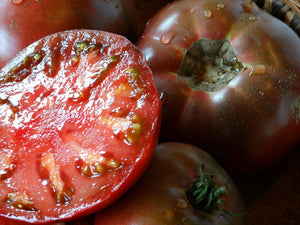 Sara Black Tomato