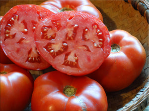 Speckled Siberian Tomato