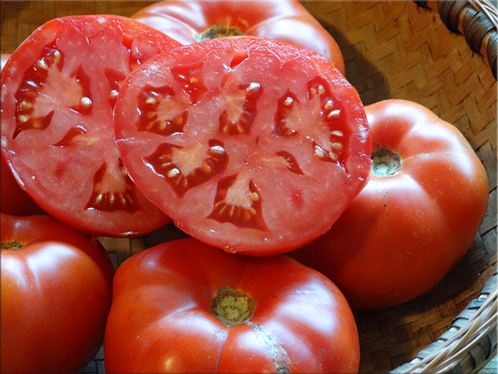 Speckled Siberian Tomato