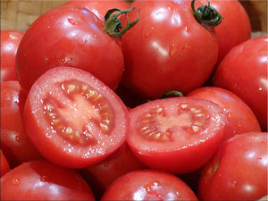 Siberian Tomato