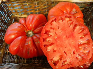 Sicilian Saucer Tomato
