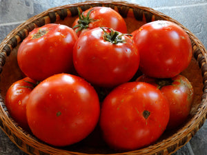 Sioux Tomato